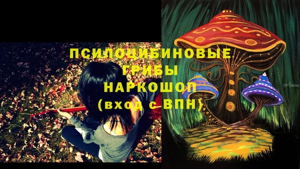 амфетамин Алексеевка