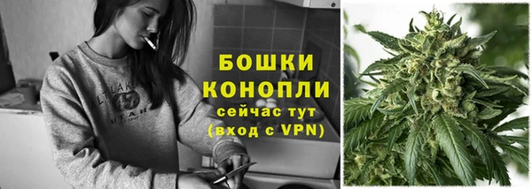apvp Арсеньев
